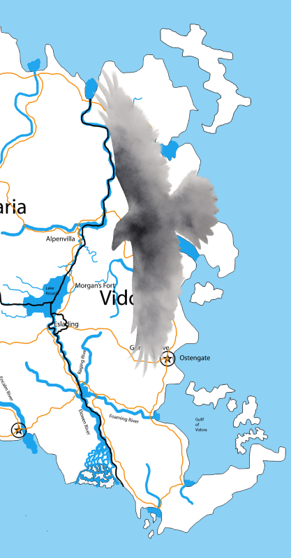 Shadow over Vidora in the Shadow of Silent Losses